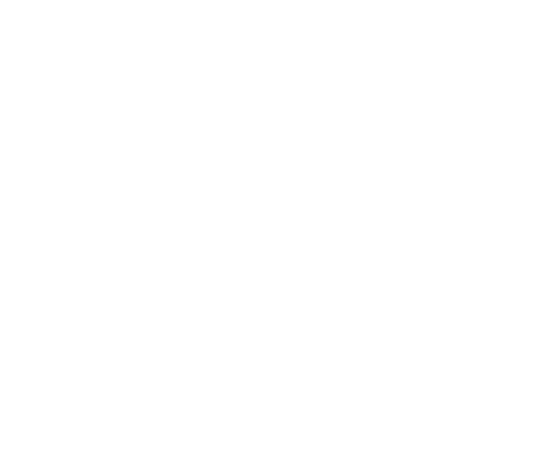 logo light